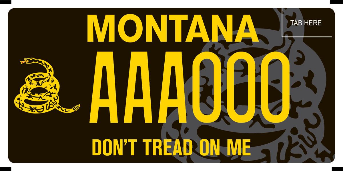 The flag with a black color scheme, as a license plate